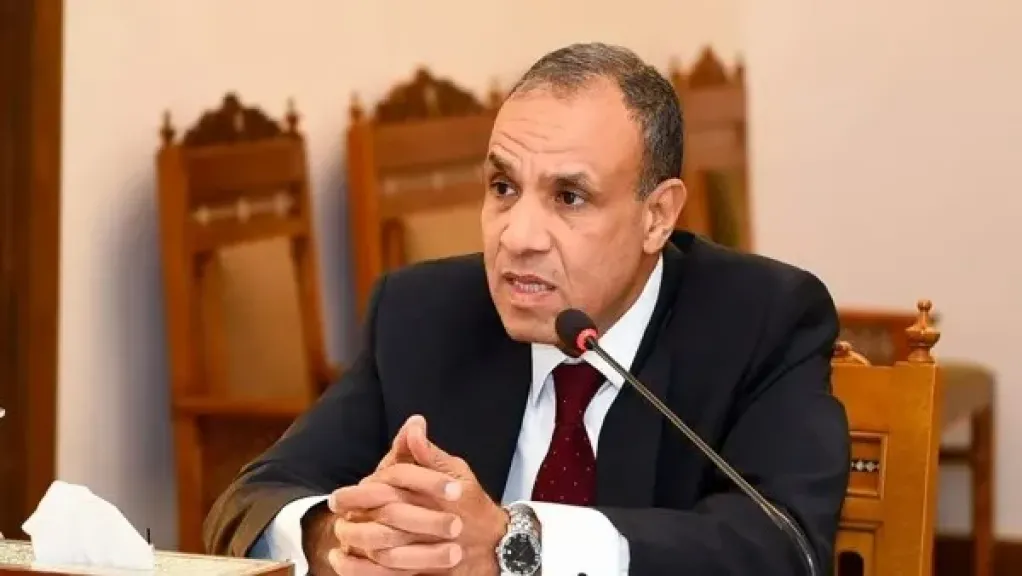 الدكتور بدر عبدالعاطي وزير الخارجية