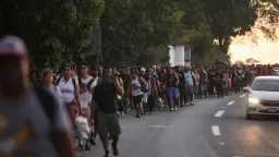 قافلة الألف تتحدى ترامب.. أسطورة...