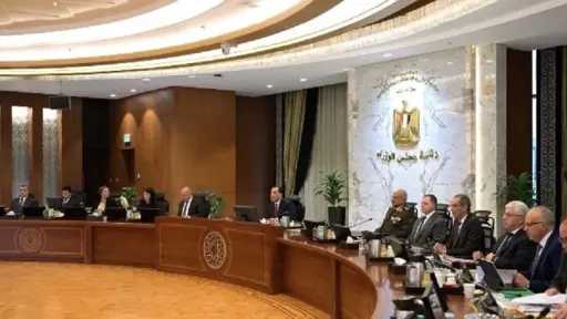 مدبولي: تشكيل اللجان الاستشارية المُتخصصة...