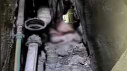 مأساة رضيعة المنور.. أنجبتها قاصر...