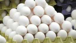 قبل رمضان.. مفاجأة في أسعار...