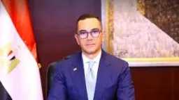 وزير الاستثمار يبحث مع سفير...