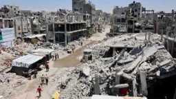 باحثة سياسية: رفض عالمي للمشروع...