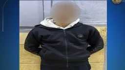 كسر الرادار بالعصا.. كاميرات المراقبة...