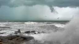 إغلاق ميناء العريش البحري نظراً...