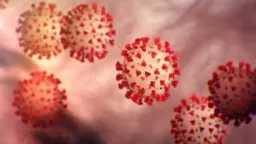 تحذير من انتشار فيروس خطير...