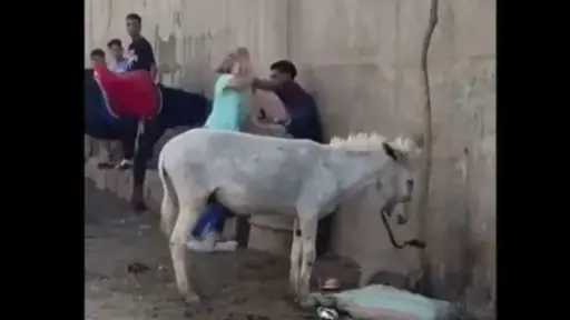 أخبار الحوادث