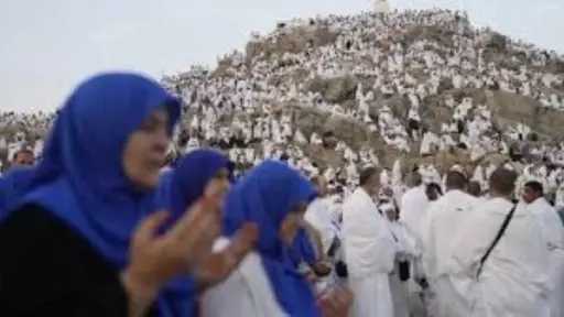 أخبار مصر والعالم