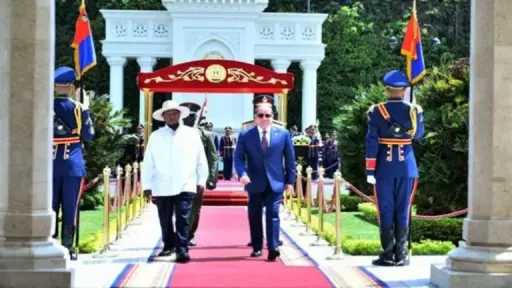 الرئيس السيسي: مياه النيل خط...