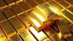 تحقيقات وتقارير