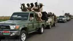 أخبار مصر والعالم