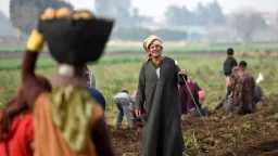 الخريف المتلون يضرب مصر.. تحذيرات...