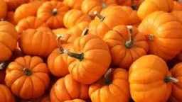 منوعات وأسرة