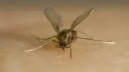 منوعات وأسرة