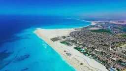 تحقيقات وتقارير