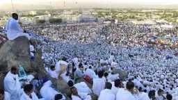 أخبار مصر والعالم