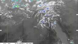 أخبار مصر والعالم