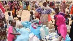 إعلان وجود مجاعة بالفاشر وكادوقلي...