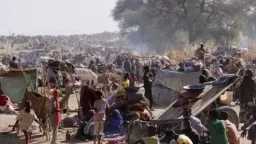 مجلس حقوق الإنسان يقرر بالإجماع...