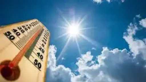 أخبار مصر والعالم