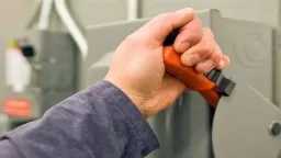 أخبار مصر والعالم