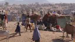 الأمم المتحدة: أعداد النازحين من...