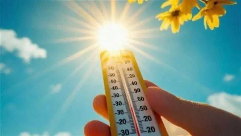 أخبار مصر والعالم