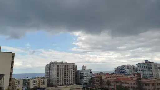 أخبار مصر والعالم