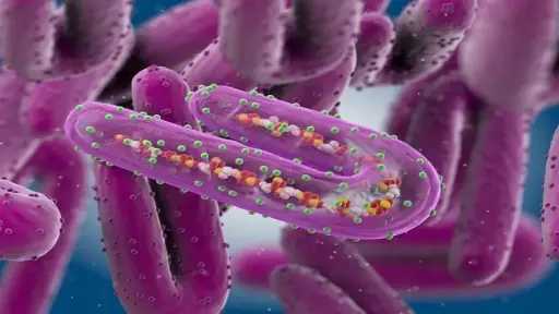 منوعات وأسرة