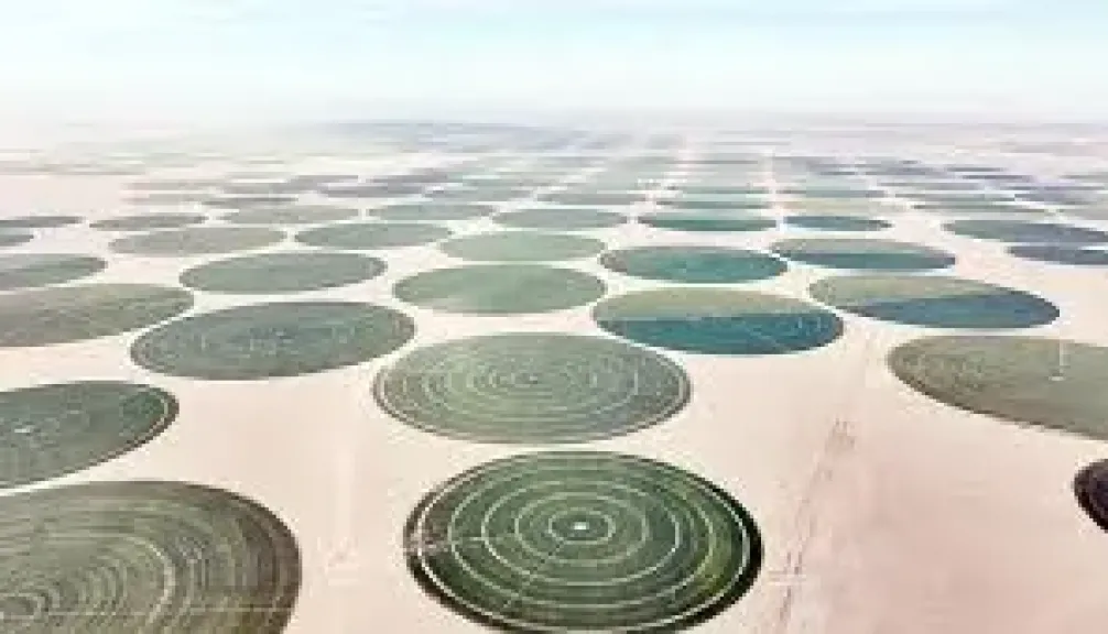 تنمية جنوب الوادي