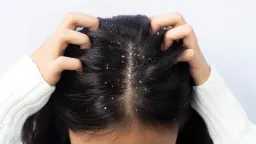 منوعات وأسرة