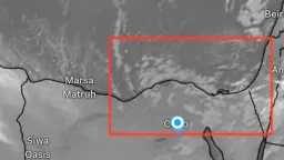 أخبار مصر والعالم