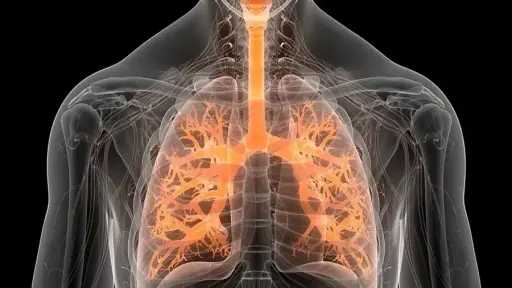 منوعات وأسرة