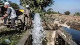 أخبار مصر والعالم