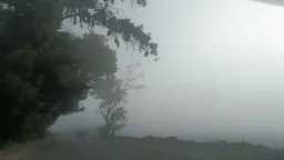 أخبار مصر والعالم