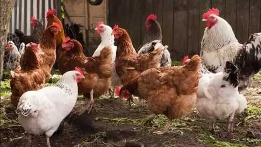 اقتصاد وأسواق