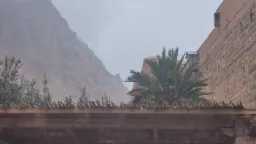 أخبار مصر والعالم