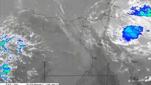 أخبار مصر والعالم