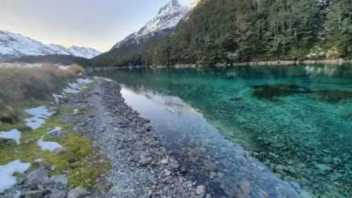 أخبار مصر والعالم