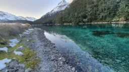 أخبار مصر والعالم