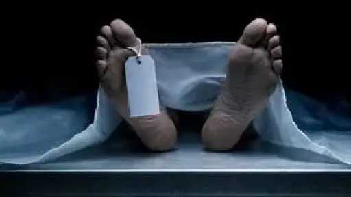 أخبار الحوادث