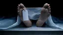 أخبار الحوادث