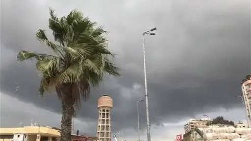 أخبار مصر والعالم