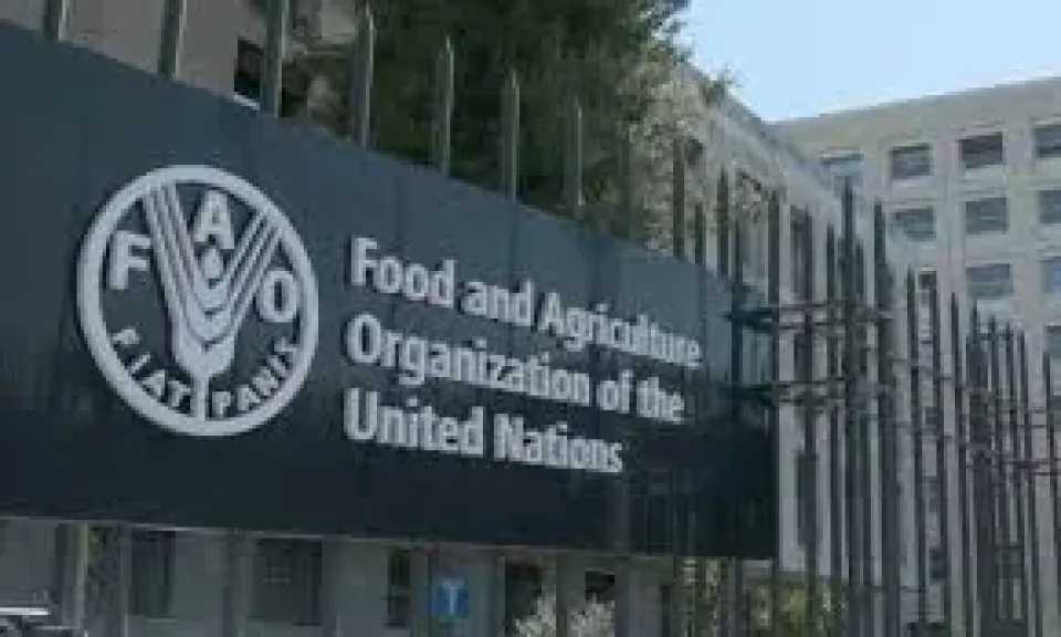 أخبار مصر والعالم