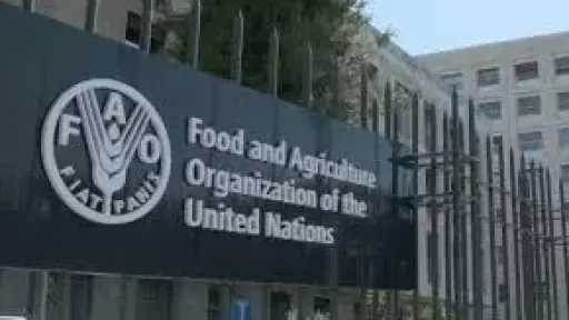 أخبار مصر والعالم