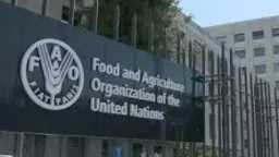 أخبار مصر والعالم