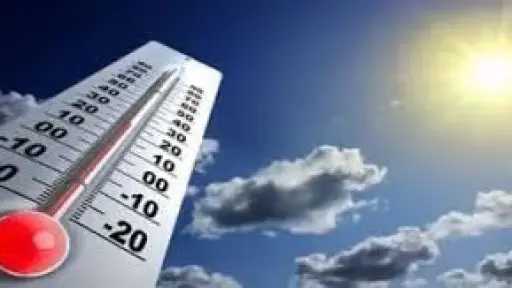 أخبار مصر والعالم