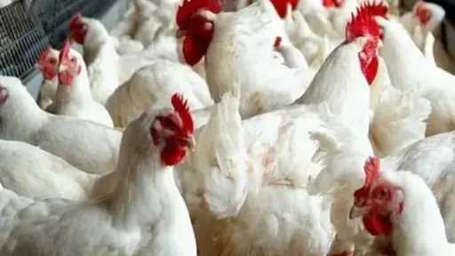 اقتصاد وأسواق