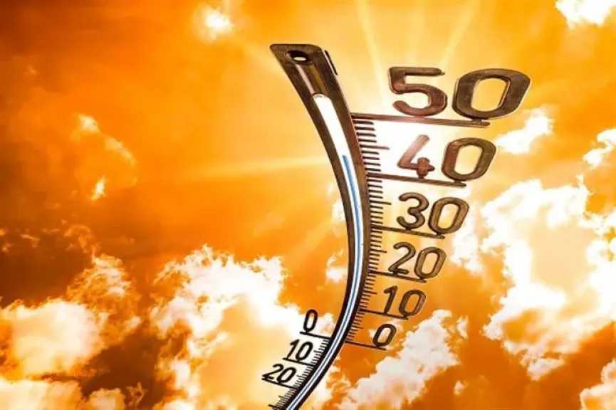 أخبار مصر والعالم