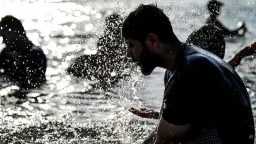 أخبار مصر والعالم